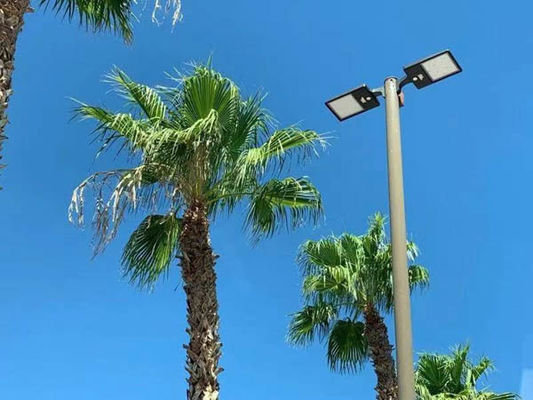 Polos de iluminación redondos rectos, columnas de iluminación rectas, postes de iluminación galvanizados a fuego, postes de iluminación recubiertos de polvo